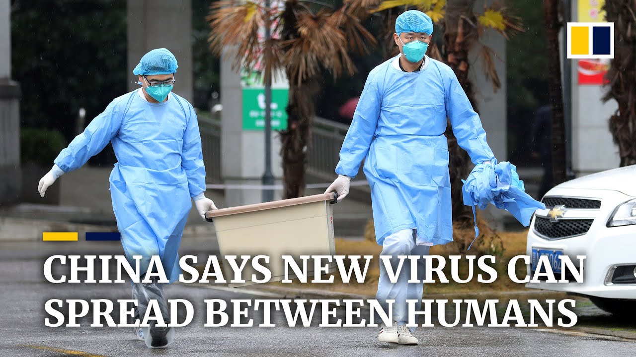 China confirms new coronavirus can be transmitted between humans