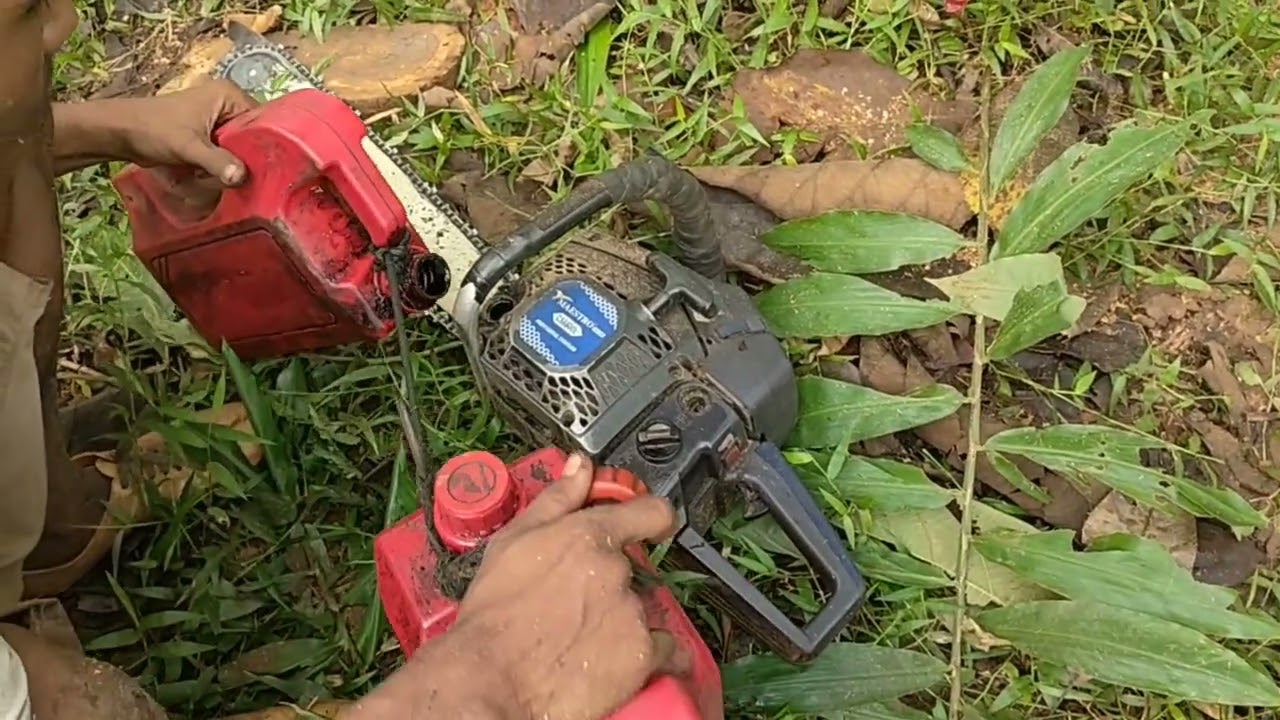 Legal logging,,,tebang jati operator dan chainsawnya  sang Maestro,,,