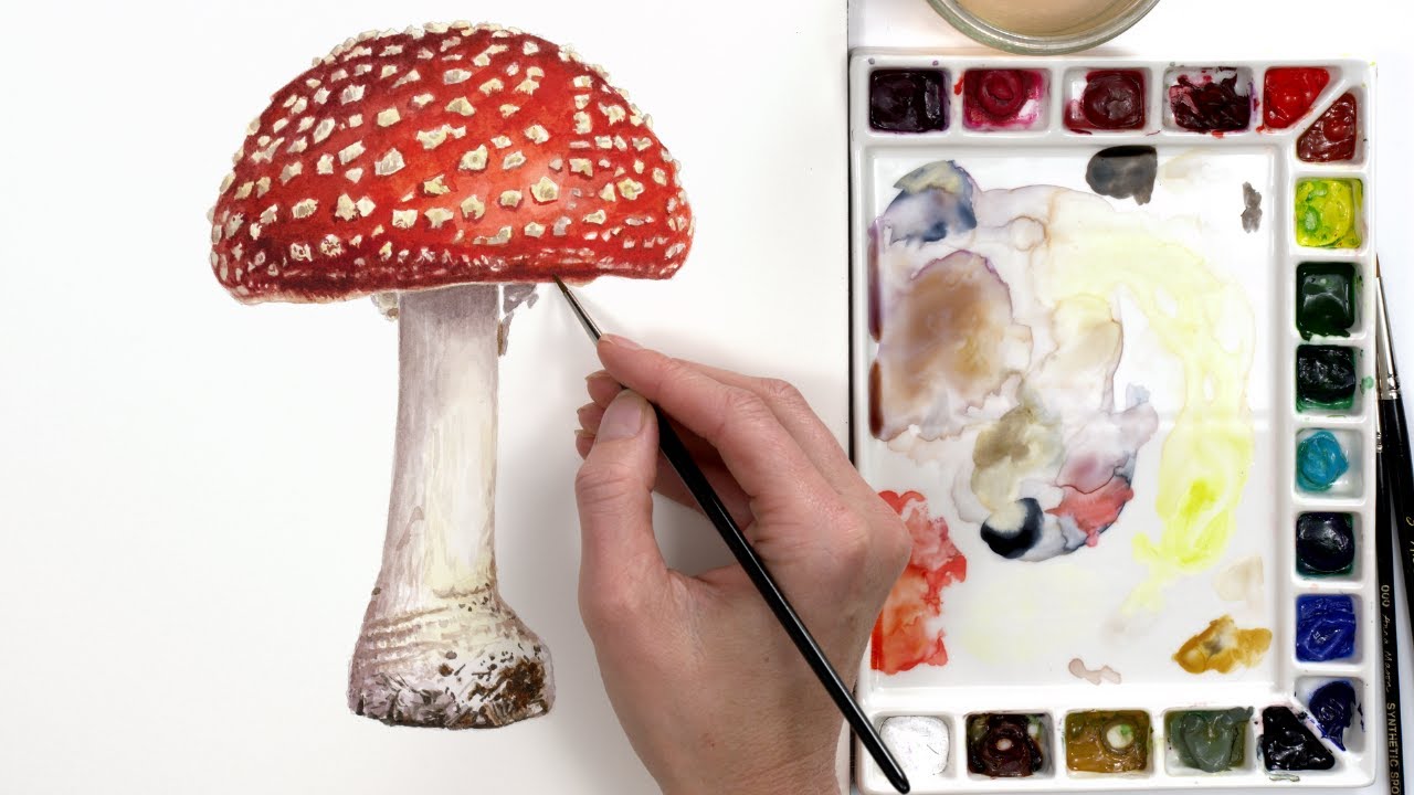Realistic toadstool painting