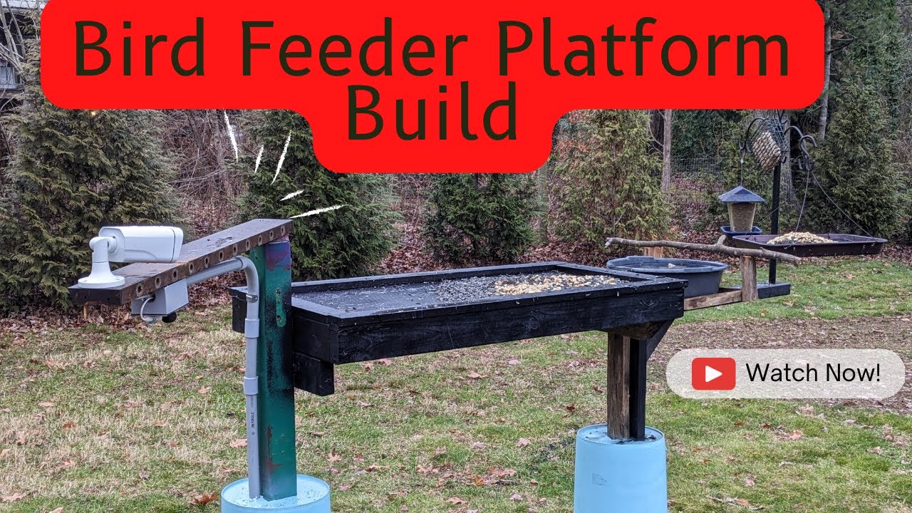 Bird Feeder Platform Build, with Live Stream Camera