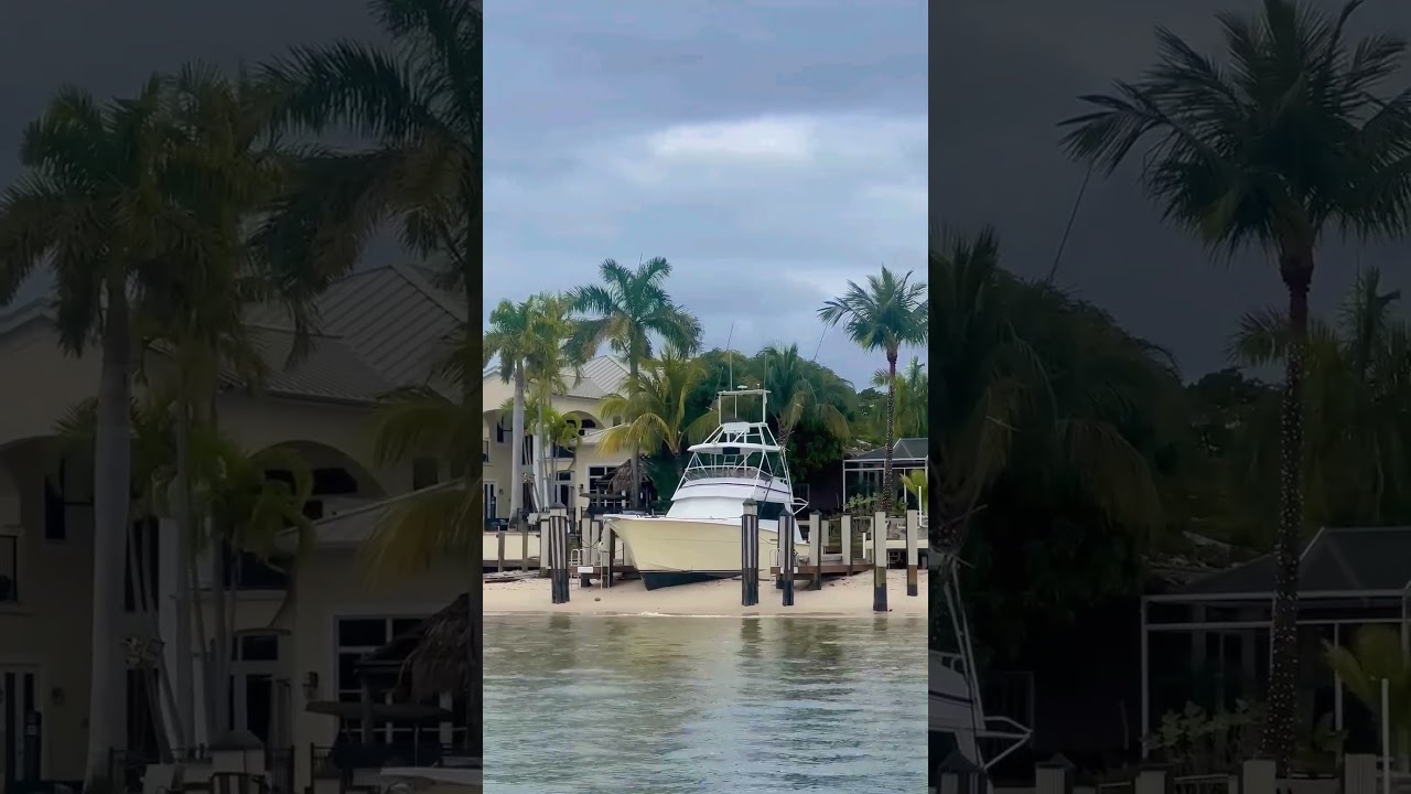 ⚓️