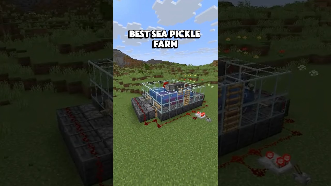 Best Sea Pickle Farm In Minecraft! 