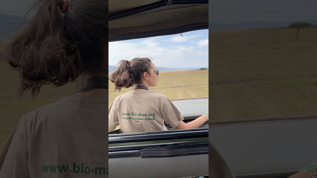 La triste realidad de los safaris en Kenia