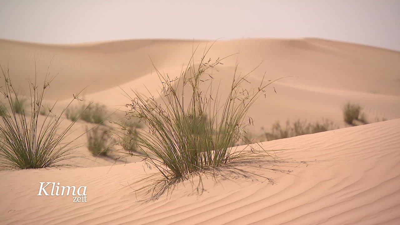 Wie Landwirte dem Klimawandel trotzen | KlimaZeit