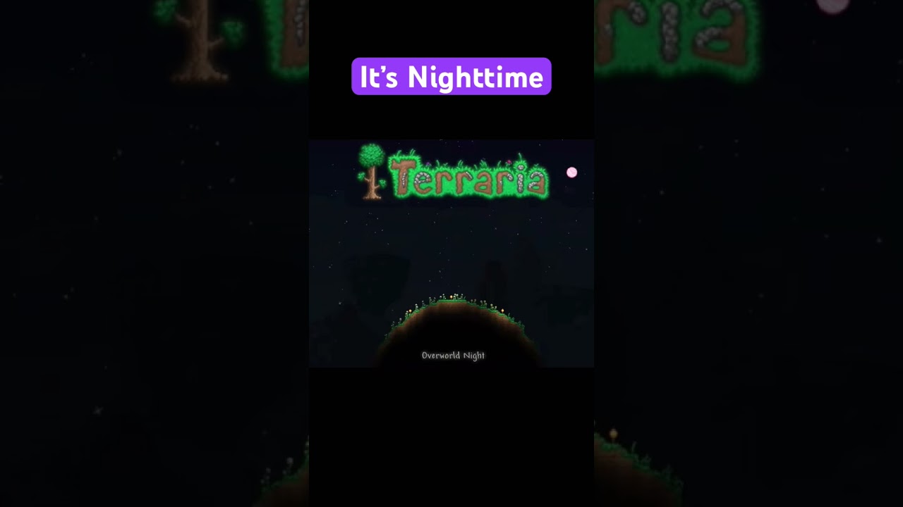 Terraria - (Overworld Night) #song #music #loop #calm #nostalgia #terraria #gaming #shorts #fypシ