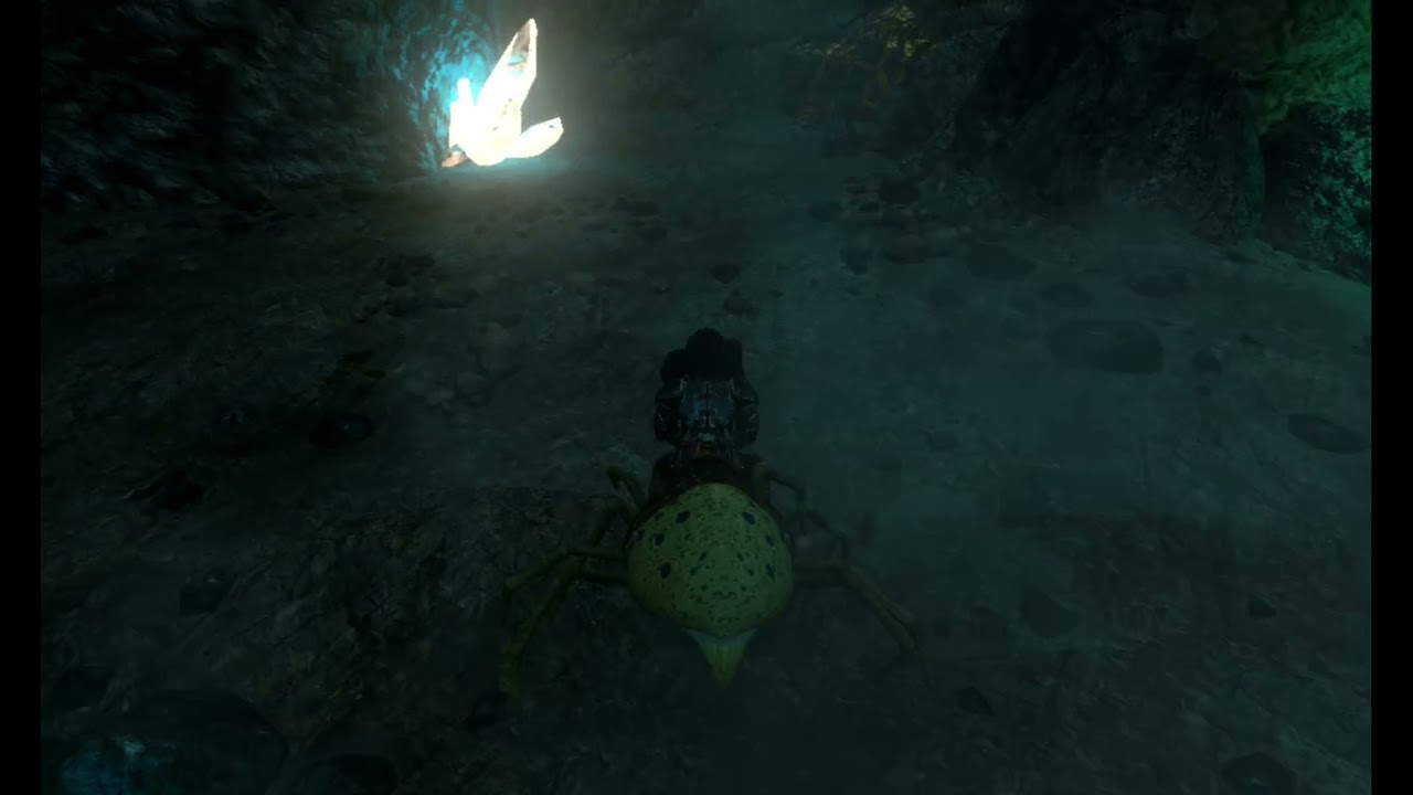 Random ark  vid..