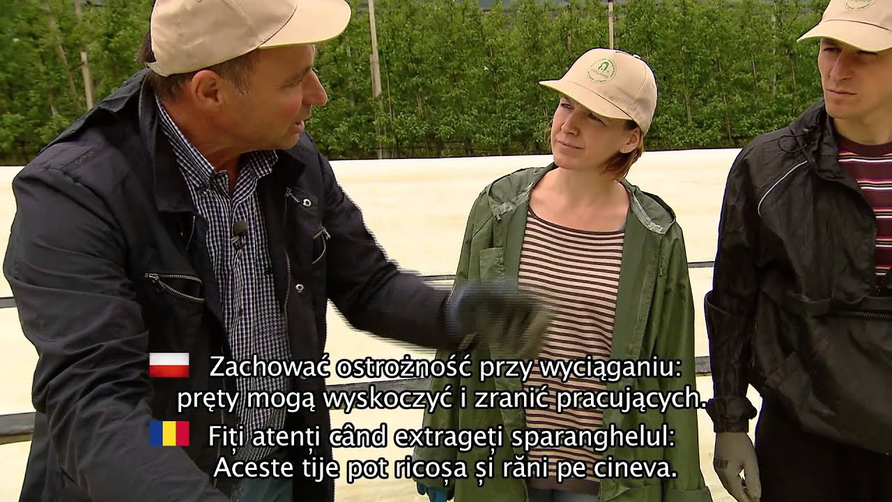 Sichere Spargelernte (polnische - rum&auml;nische Untertitel)
