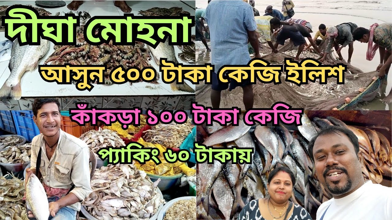 দীঘা মোহনা মাছ বাজারে ইলিশ মাত্র ৫০০ টাকা - কি ঘটছে?