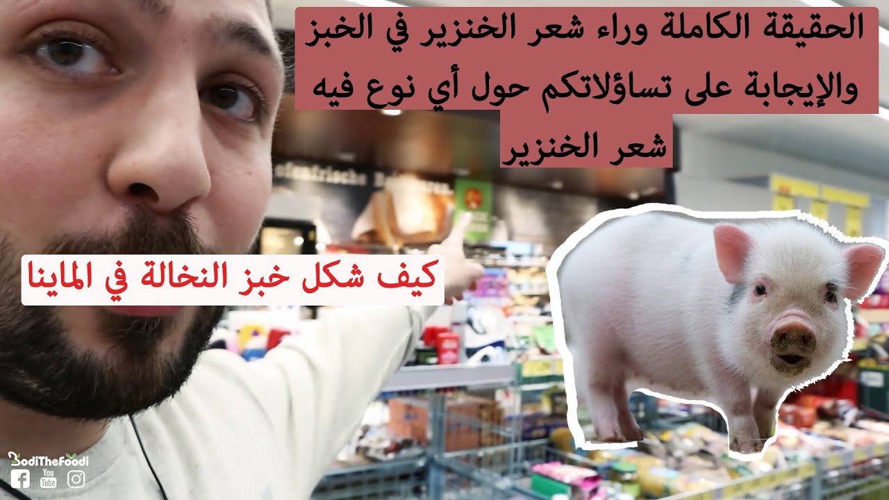 ماهو نوع الخبز الذي يوجد فيه شعر الخنزير ؟ | BodiTheFoodi