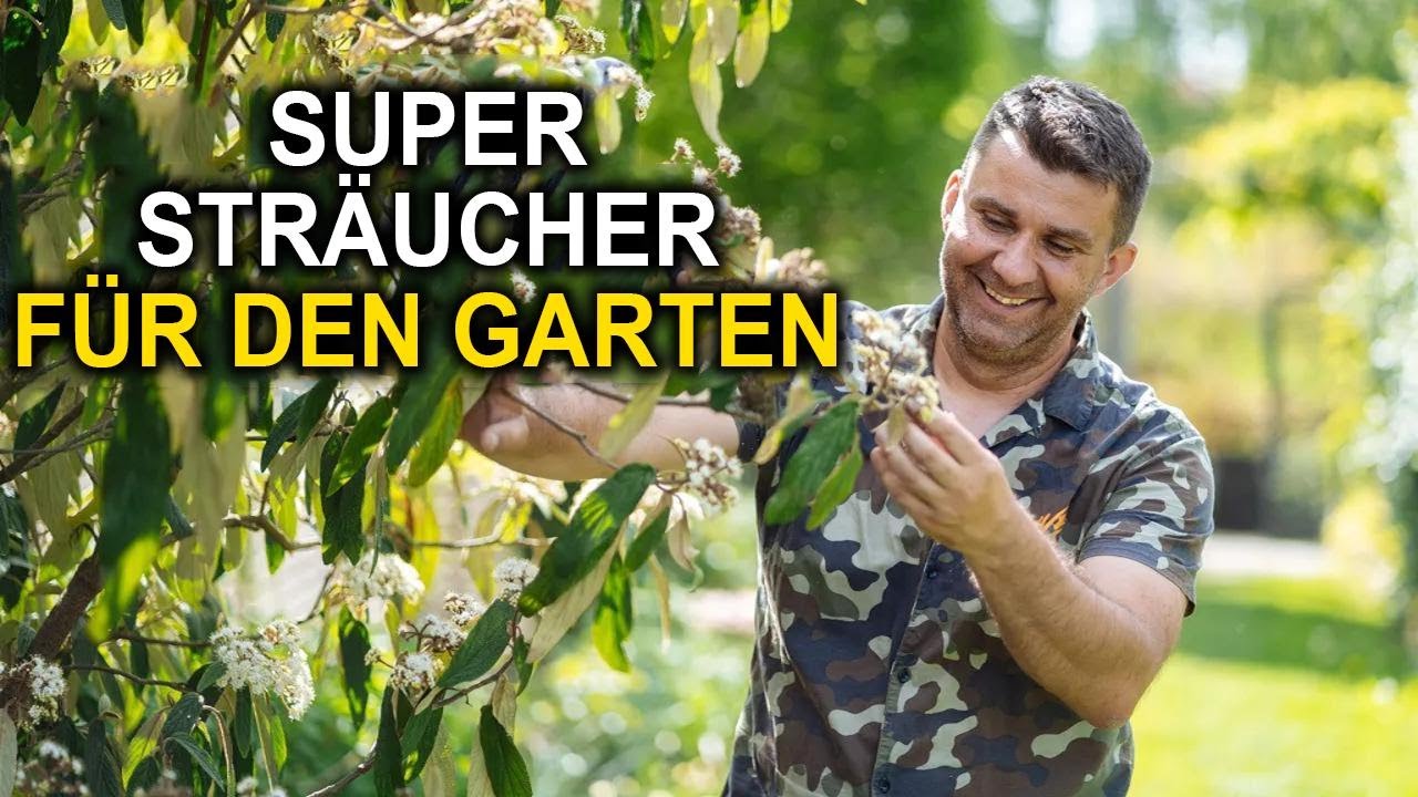 5 Str&auml;ucher, die deinen Garten komplett ver&auml;ndern! Must-Haves f&uuml;r Hobbyg&auml;rtner