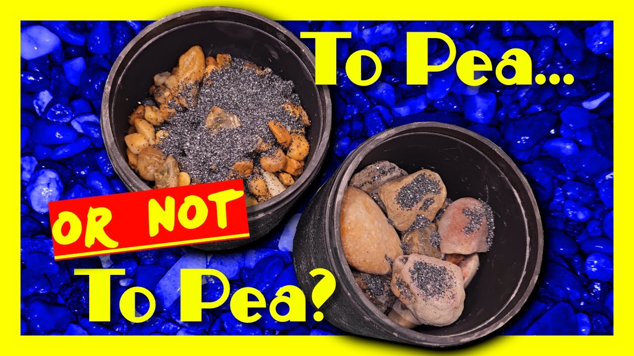 Speeding up the roughing stage: Is pea gravel the answer?