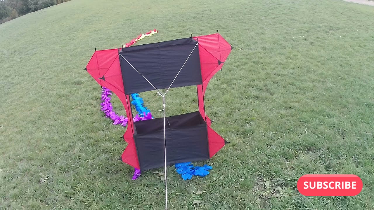 Cody Box Kite With a loop fuzzy tail. (by Spirit of Air)