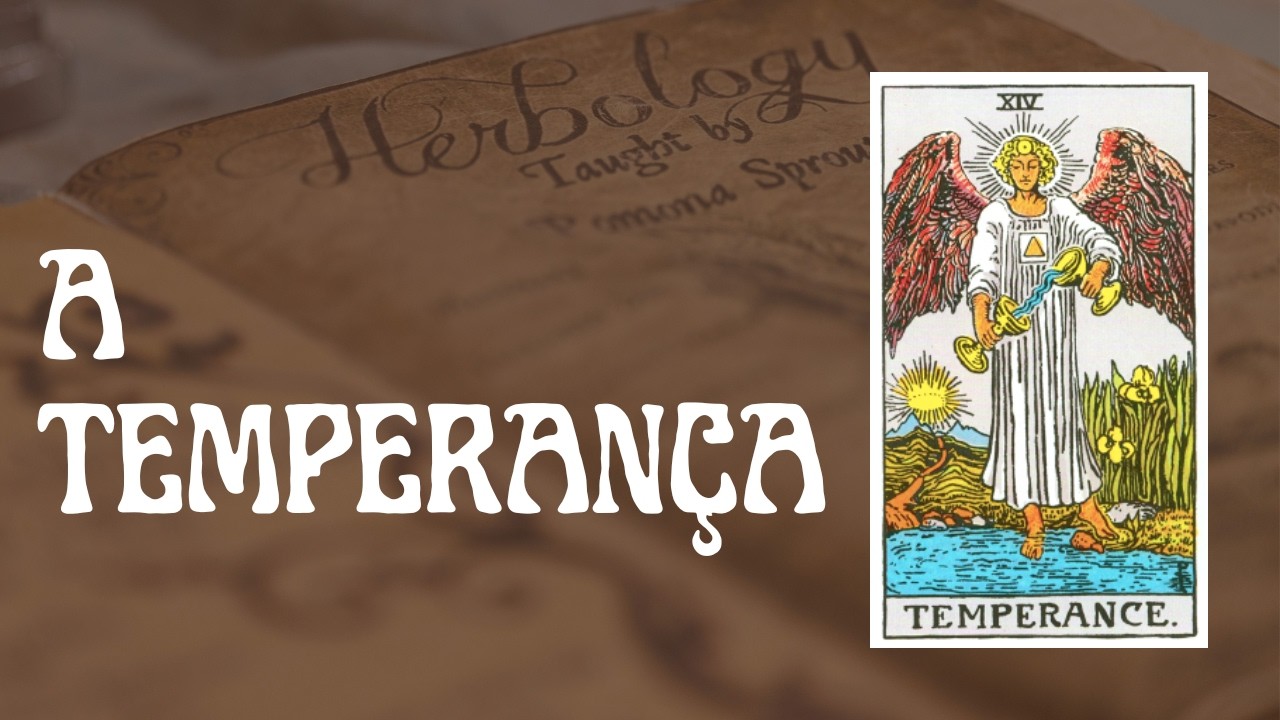 #14 - O que a carta da Temperança do Tarot pode te ensinar
