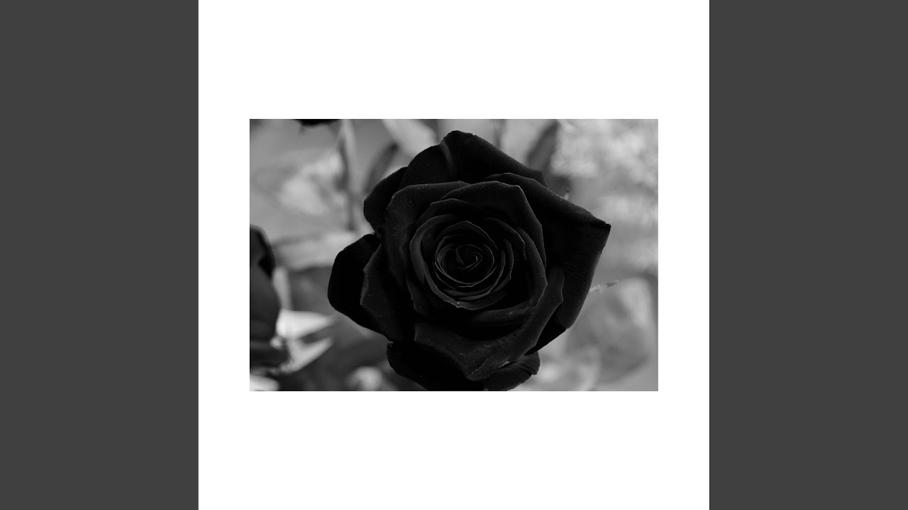 Black Love