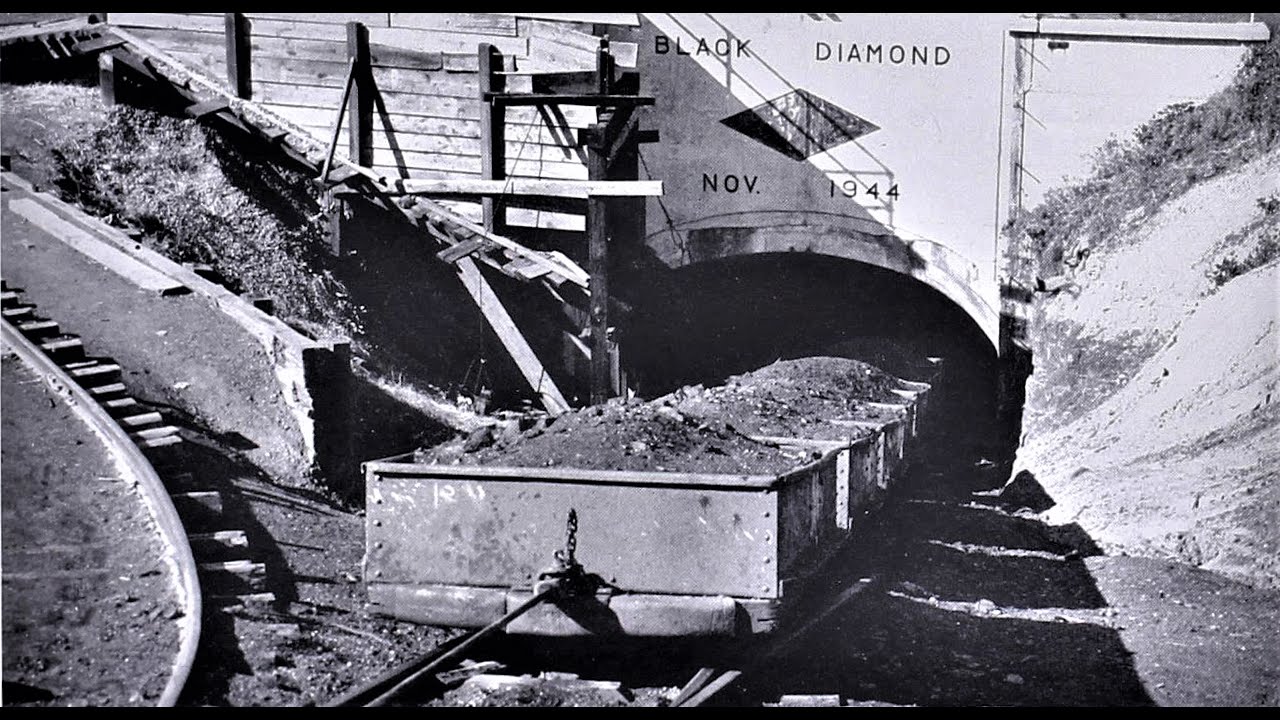 Black Diamond Coal Mining Company-Alabama