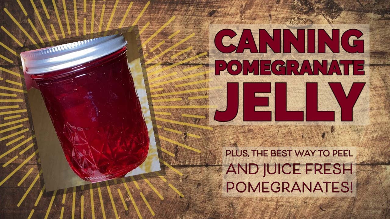 Canning Fresh Pomegranate Jelly: From whole fruit through the final product