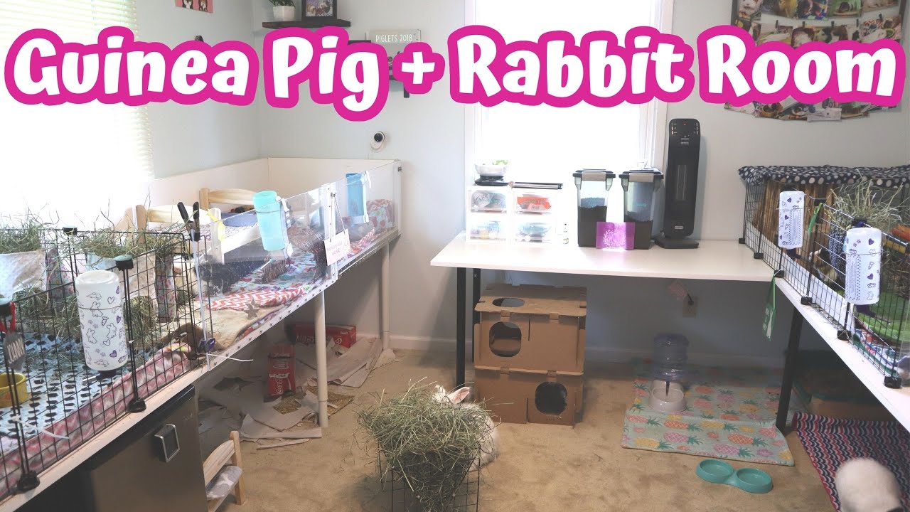 Pet Room Tour 2021 // Guinea Pig & Rabbit Room