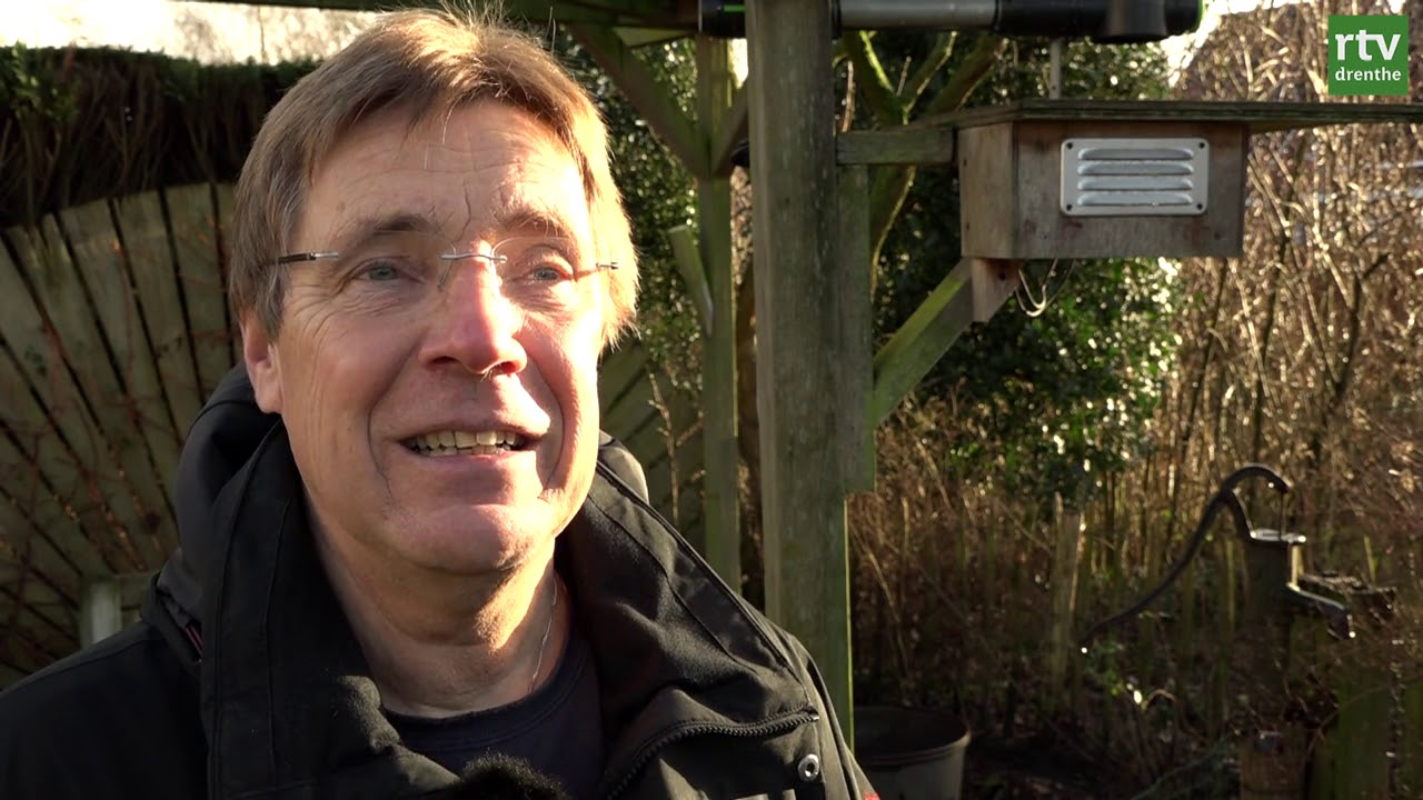 Hoe krijg je huismussen in je tuin?