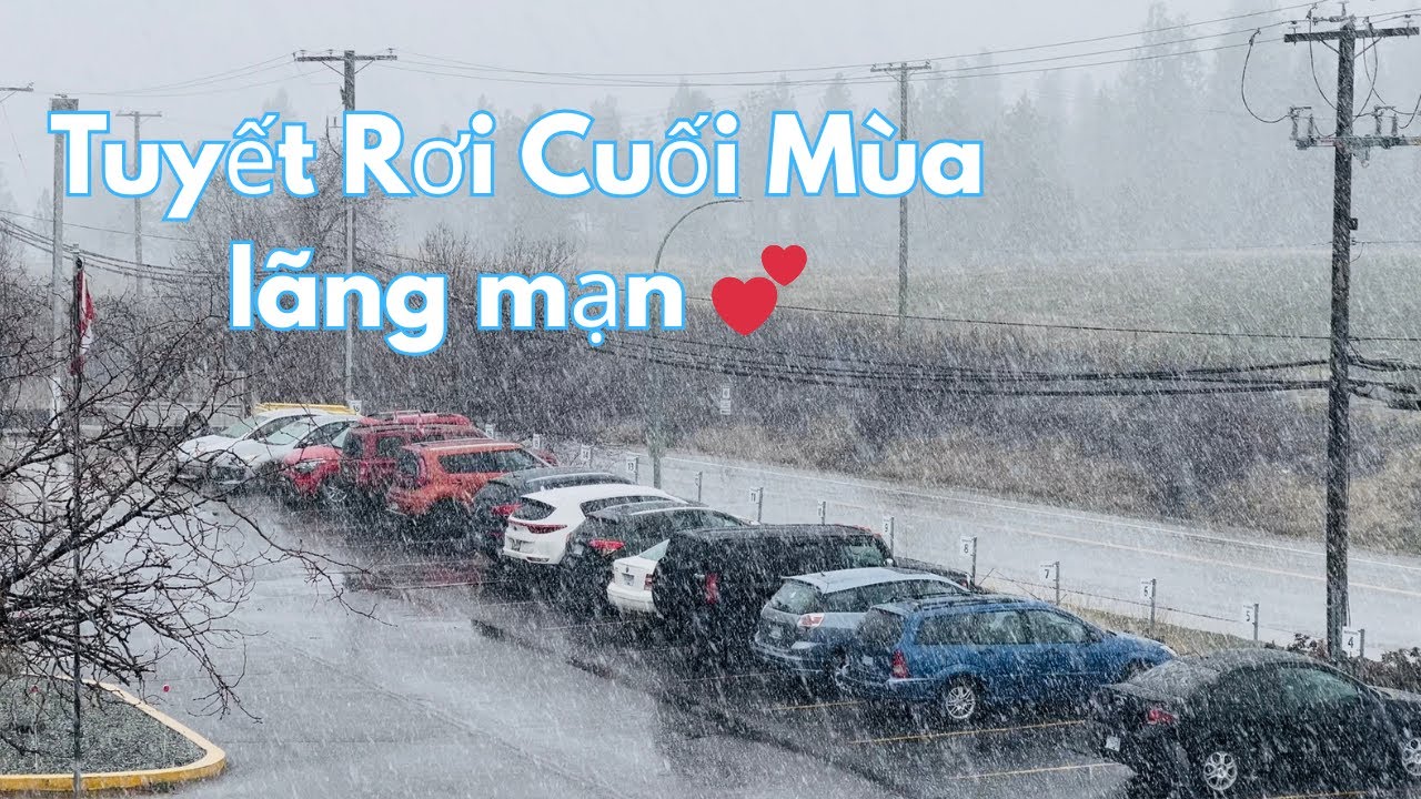 Tuyết Rơi Cuối Mùa của Năm 2026 ở BC Canada 