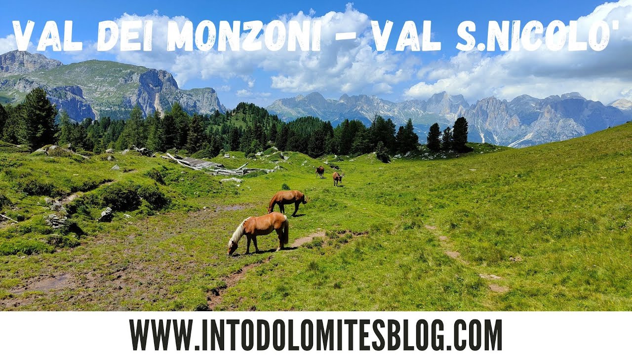 VALLE DEI MONZONI E VAL SAN NICOLO' - VAL DI FASSA