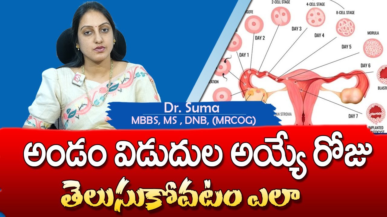 How to Calculate Ovulation Day in Telugu || Fertile Days || Ovulation Symptoms In Telugu || Dr Suma