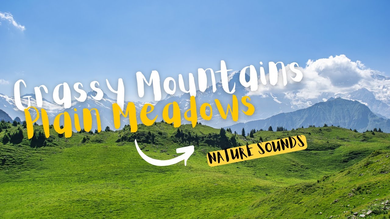 Grassy Mountains, Natural Healer, Lush Green Grass, Meadows, Mountains, Nature 4K, Relaxing Music