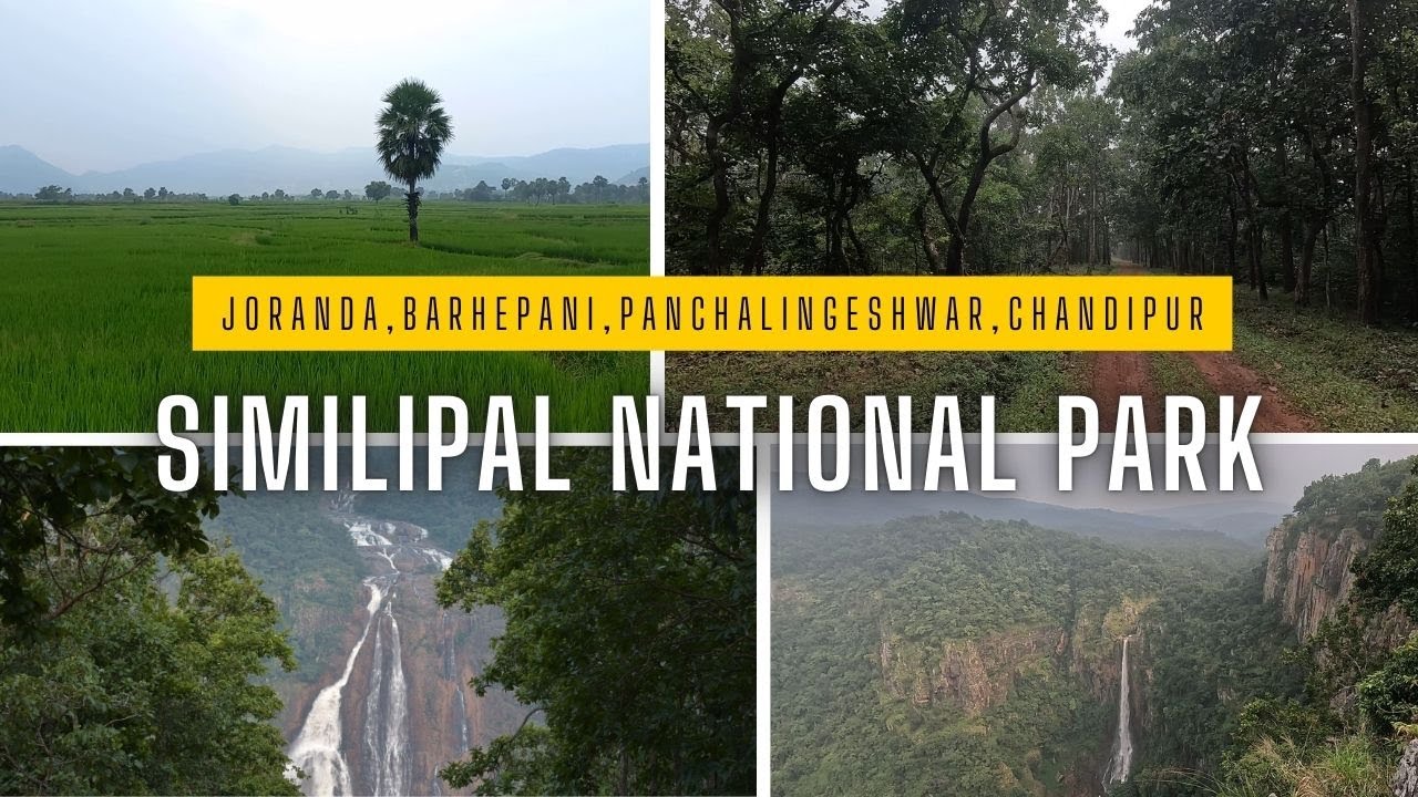 Similipal Tour Guide | Joranda Falls | Barhepani | Panchalingeshwar | Chandipur | Odisha Tourism