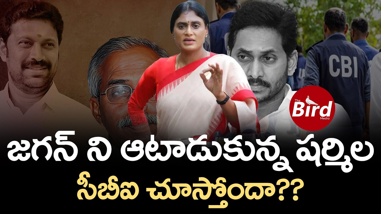 జగన్ ని ఆటాడుకున్న షర్మిల..సీబీఐచూస్తోందా?YS Sharmila COMMENTS on YSViveka Case | YS jagan | Avinash