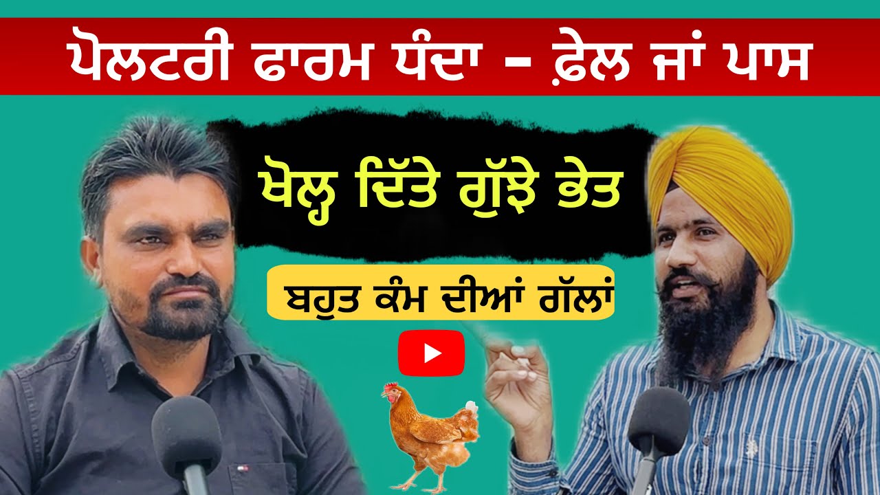 ਪੋਲਟਰੀ ਫਾਰਮ ਵਿੱਚੋ ਲੱਖਾਂ ਦੀ ਕਮਾਈ ਹੁੰਦੀ ਹੈ Best Poultry Farming Business | More Profit 