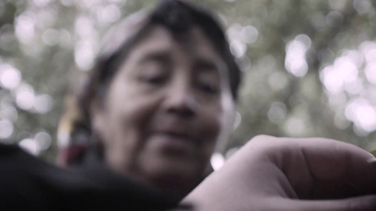 Elisa Avendaño Curaqueo - KALFURAY ÑI LAWEN