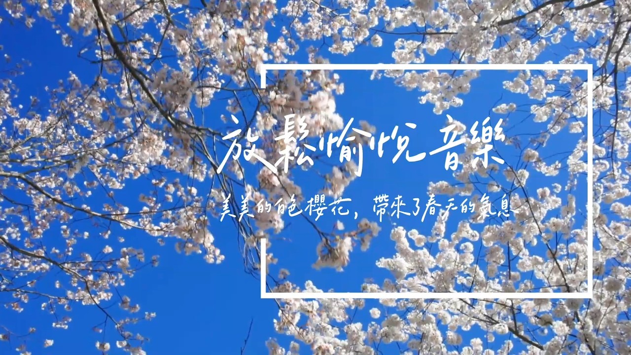Chill音樂 | 散步於櫻花樹下，感受春天氣息 | 放鬆愉悅音樂𝜗ৎ