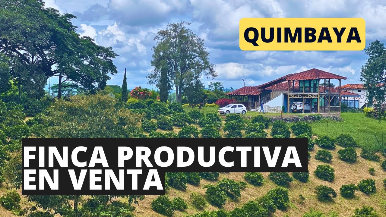 Finca productiva en venta Quimbaya Quindío 14 cuadras