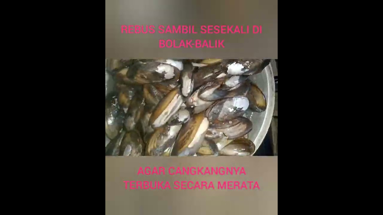 TUTORIAL BERSIHKAN KERANG/TUDE ala VLOGGER TERABAL-ABAL