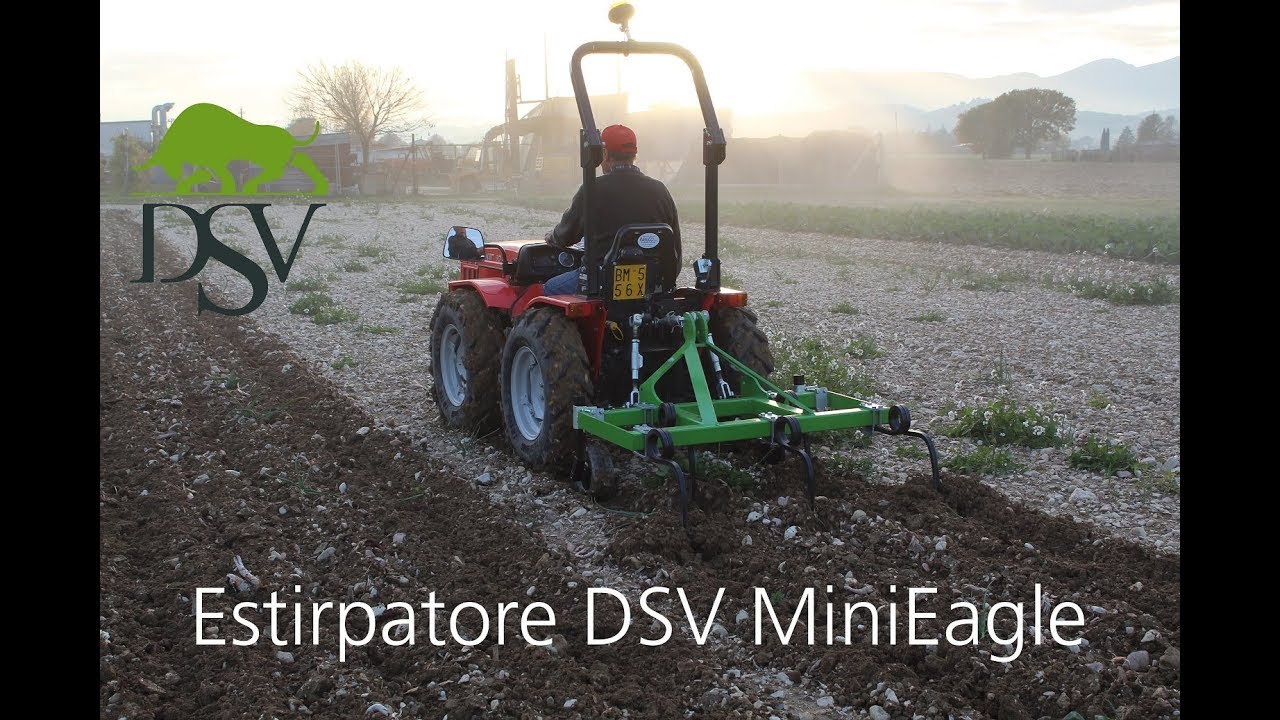 Estirpatore "Minieagle" DSV