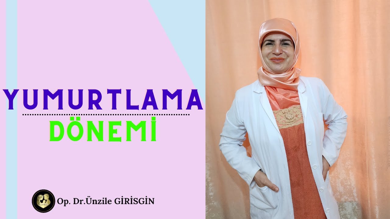 YUMURTLAMA DÖNEMİ