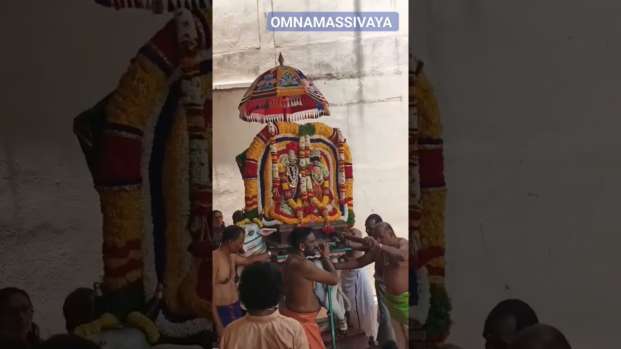 Sivaparvathi wedding #pallaki seva#omnamassivaya#malaysian
