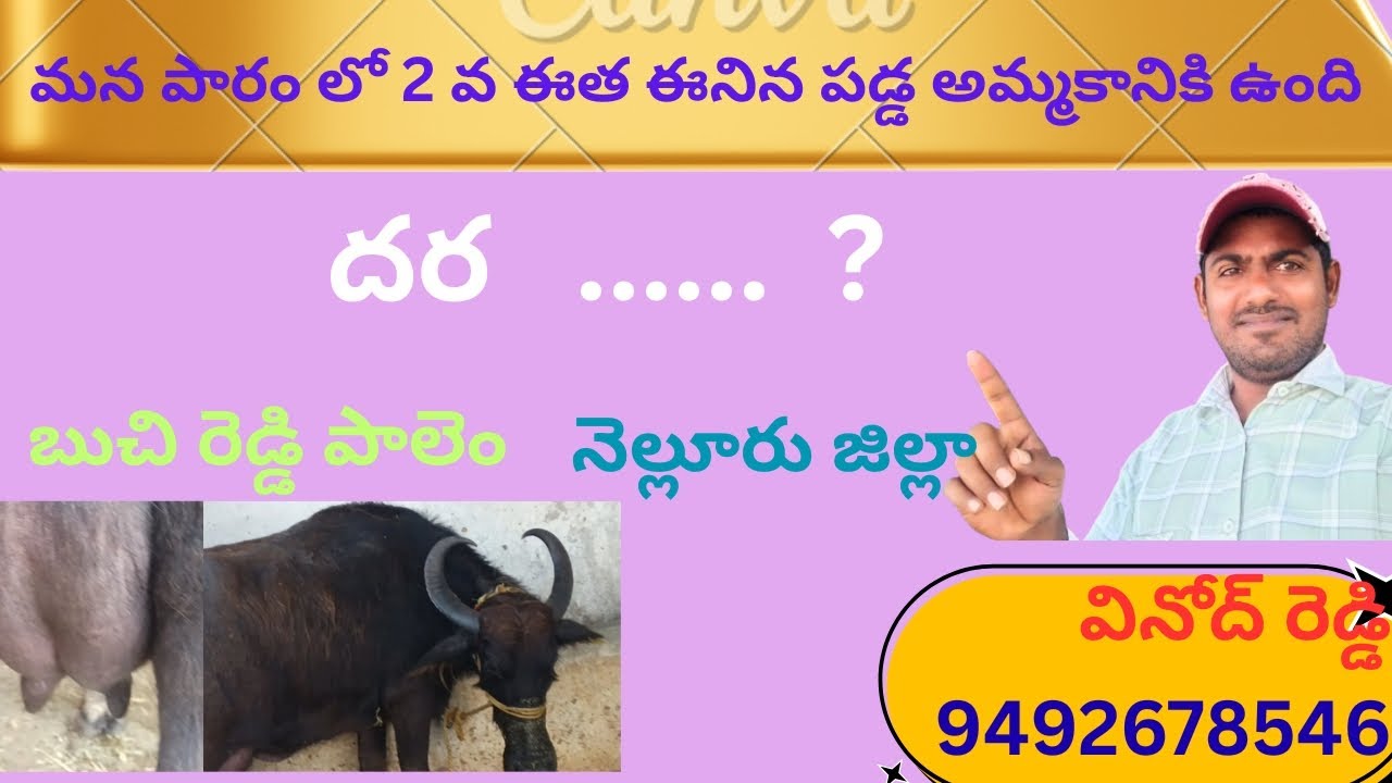 Rs - 72000,  వినోద్ రెడ్డి,  ph - 9492678546,  బుచి రెడ్డి పాలెం,  నెల్లూరు జిల్లా