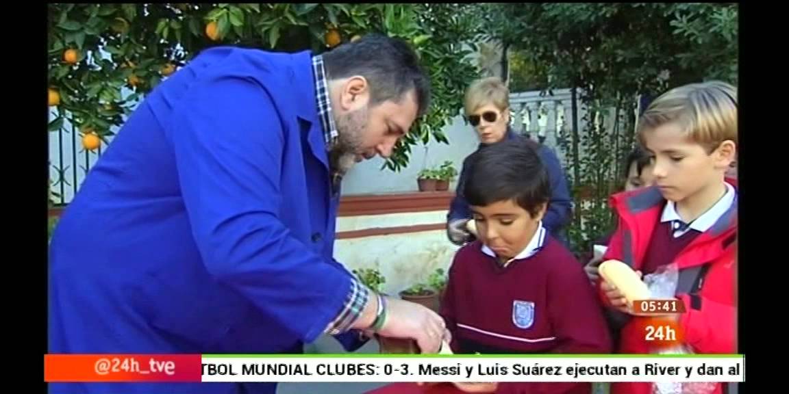 Martos y Alcaudete, El Esplendor del Olivo