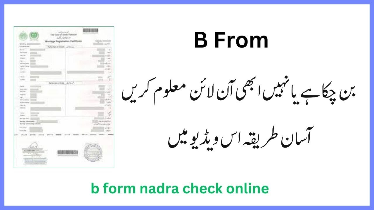 How to Check Your B Form NADRA Online | Step-by-Step Guide