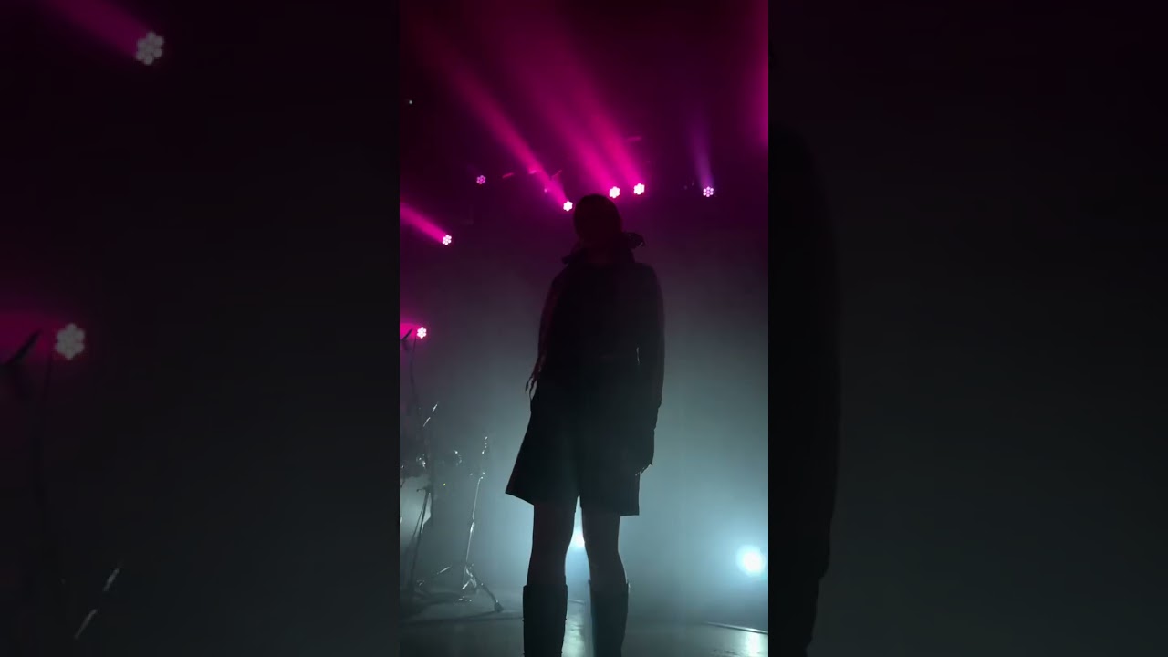 IC3PEAK - Vampir (Live in Hamburg, 09.04.2025)