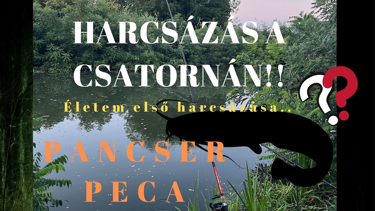 HARCSA horg&aacute;szat a csatorn&aacute;n. &Eacute;letem első harcs&aacute;z&aacute;sa.