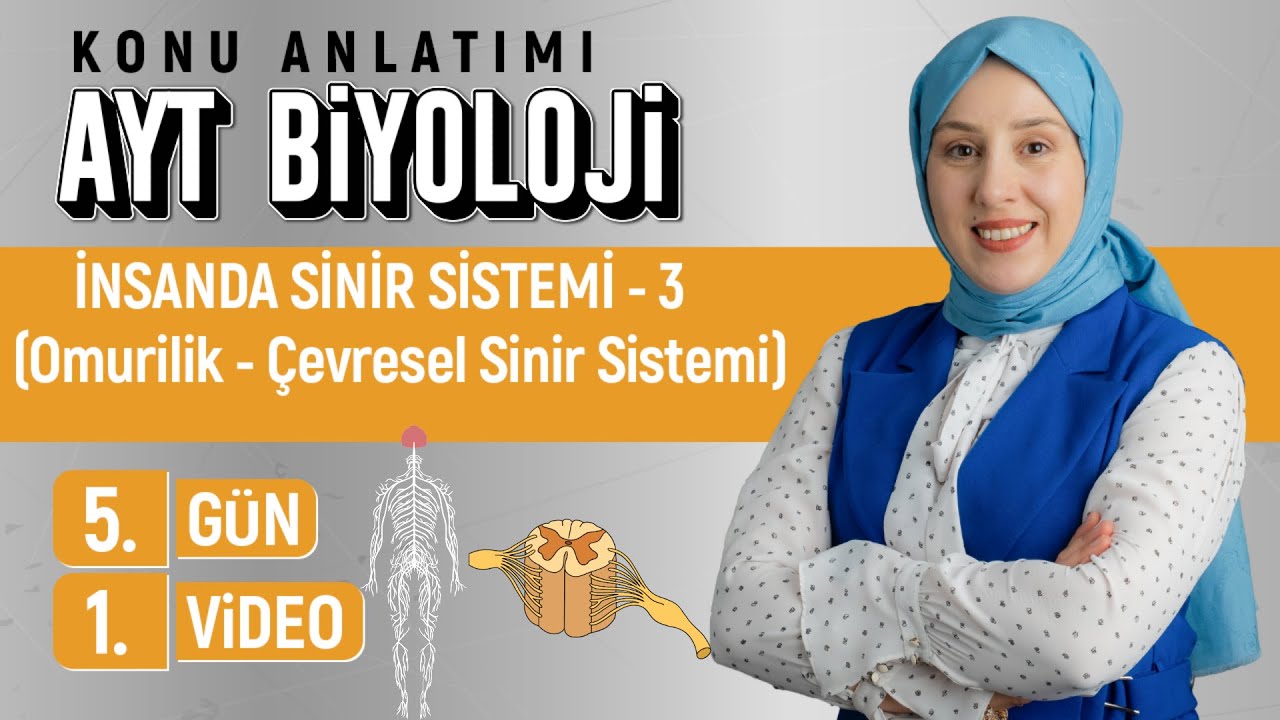 İnsanda Sinir Sistemi- 3 - 5.Gün - 1.Video | 50 Günde AYT Biyoloji Kampı | Kuvvetli Biyoloji