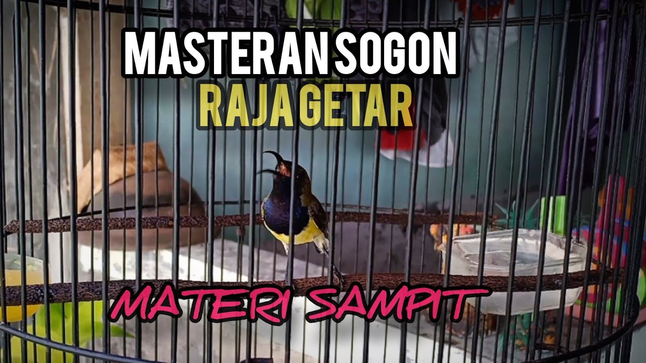 Sogon Raja Getar||Khalid Pos Sukoharjo