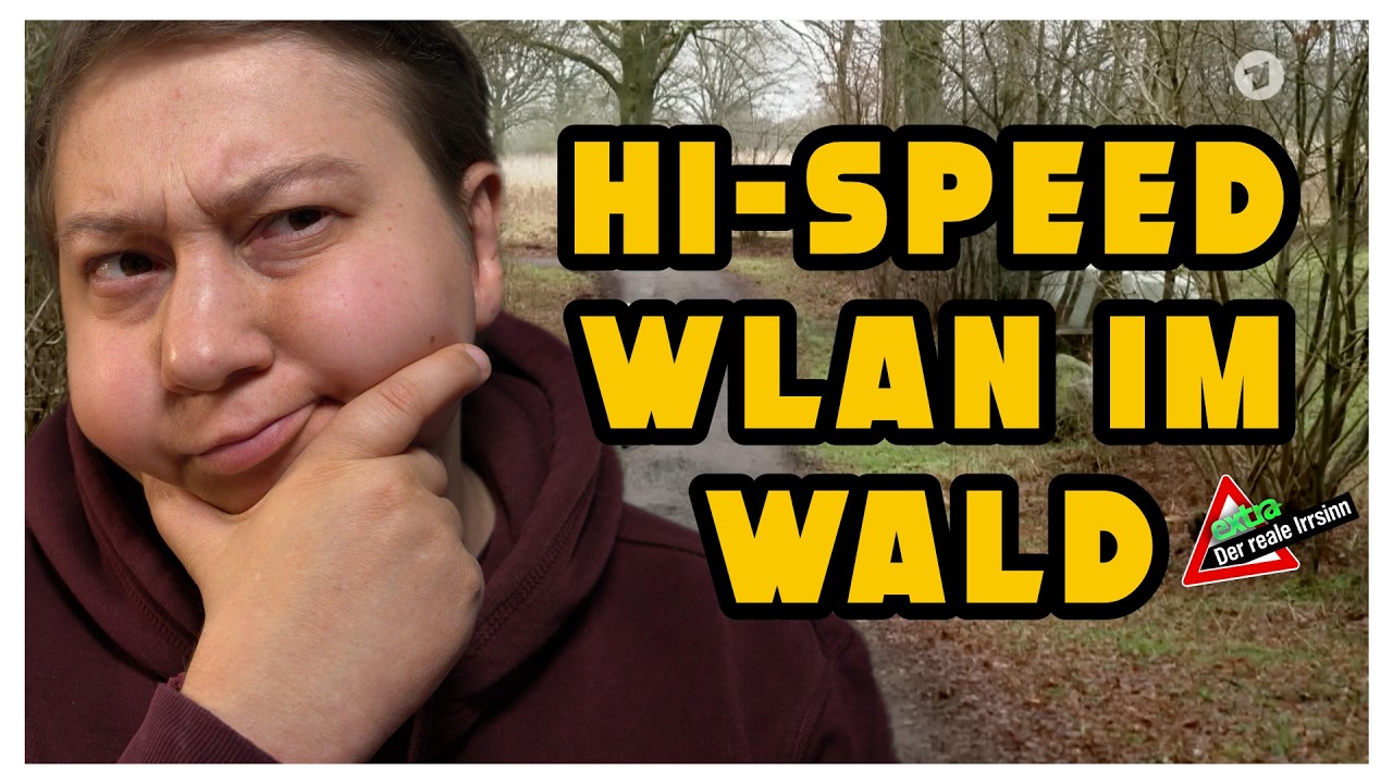 Glasfaser im Wald - TIMGIOH Reaction auf Realer Irrsinn