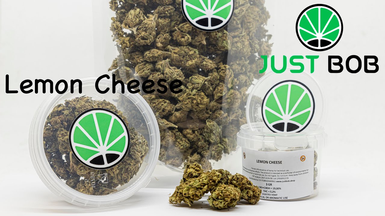 Lemon Cheese CBD - Cannabis CBD - JustBob ENG