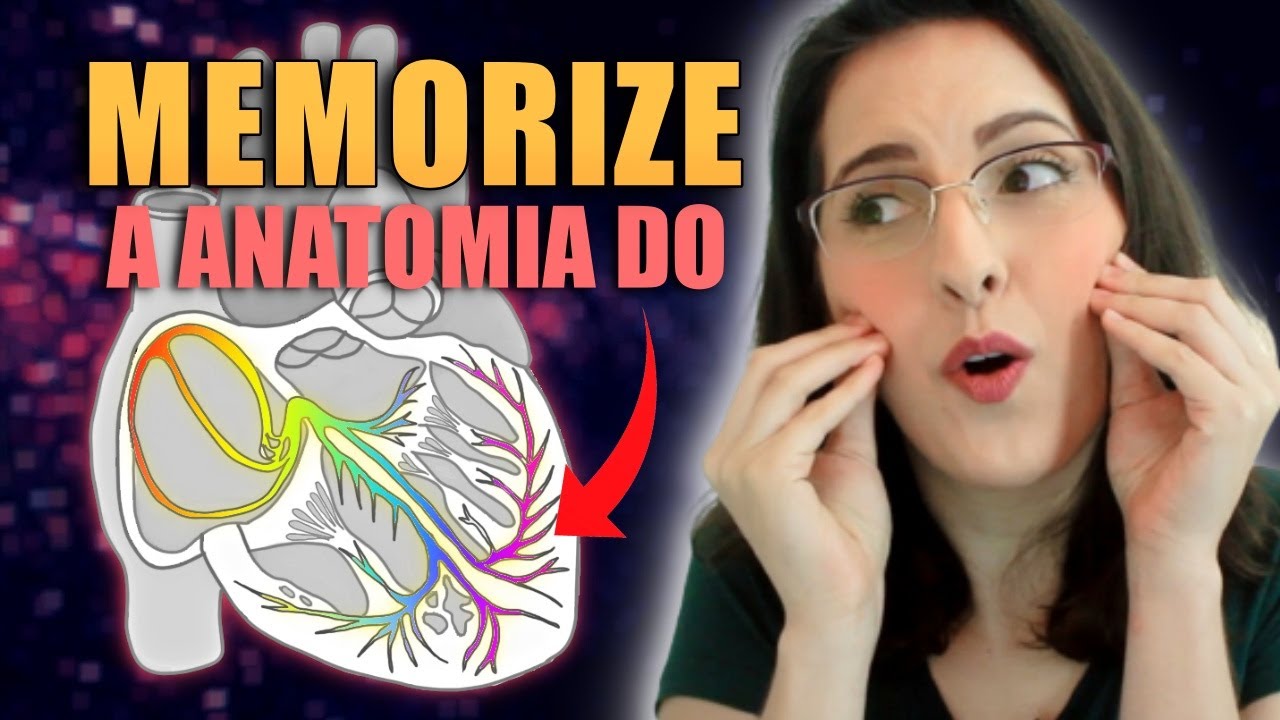 Anatomia do Sistema de Condução do Coração: Assistiu, MEMORIZOU! [Aula 02 de 02]