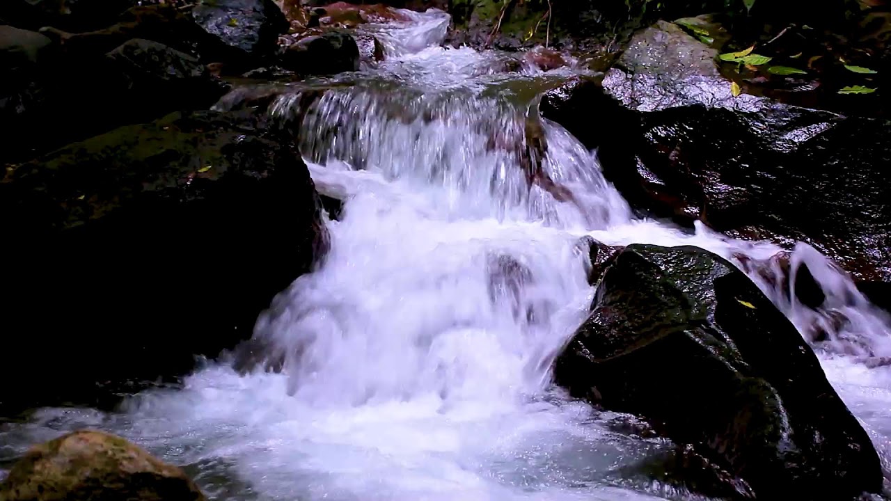 Calm Mountain Creek Flow | Relaxing Forest Water for Insomnia Relief