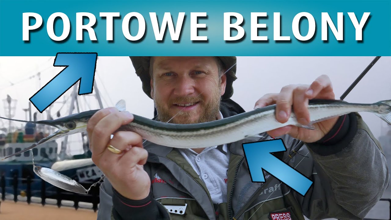 SPINNING MORSKI ➤ Łowimy belony w porcie (od maja do września)