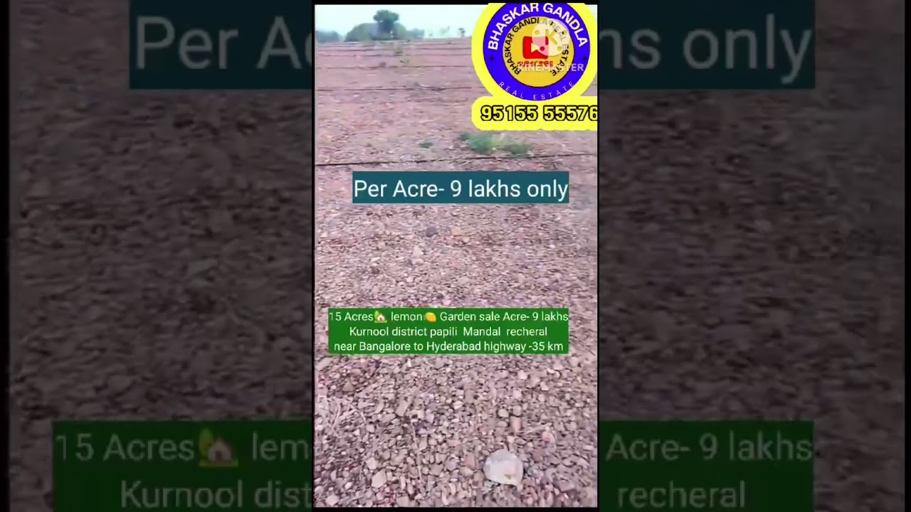 Gardens for sale Kurnool #cheapproperties #agriculture  #100acre #farmlandforsale #bhaskarrealestate
