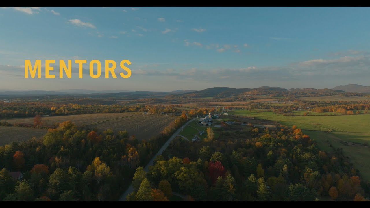 Mentors